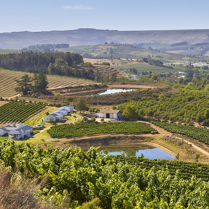 Overberg Accommodation at Paul Wallace Wines and Guest Cottages | Viya