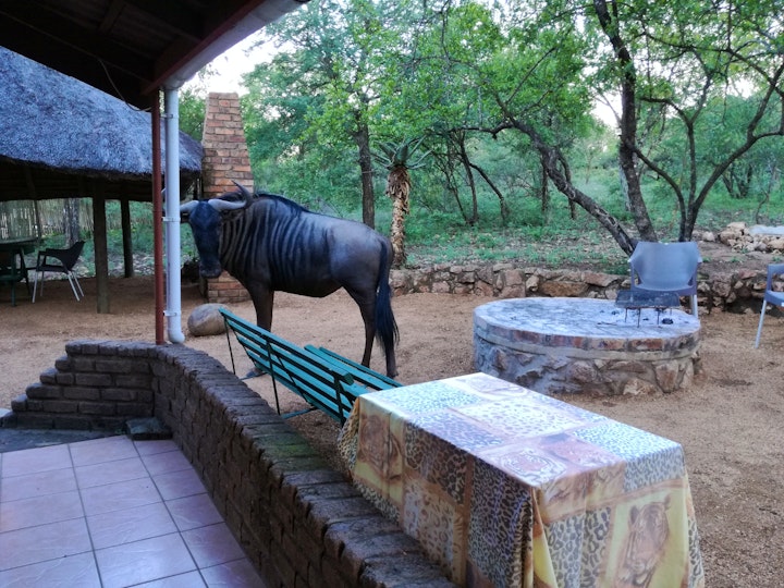 Kruger National Park South Accommodation at Die Hartbeeshuisie | Viya