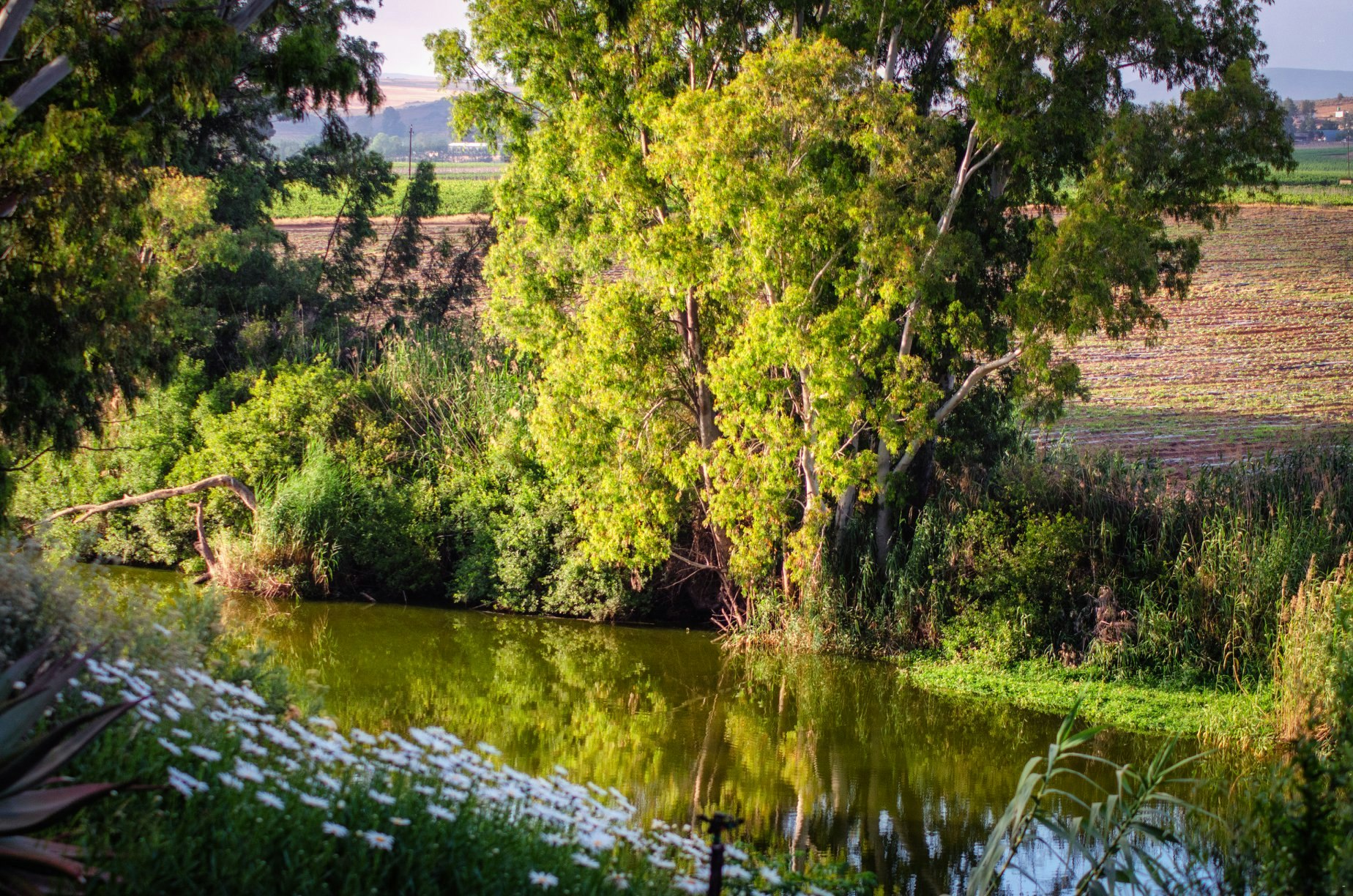 Blue Gum Cottage | LekkeSlaap