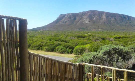 Gansbaai Accommodation at  | Viya