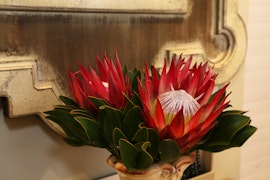 Overberg Accommodation at Hermanus Boutique Guest House | Viya