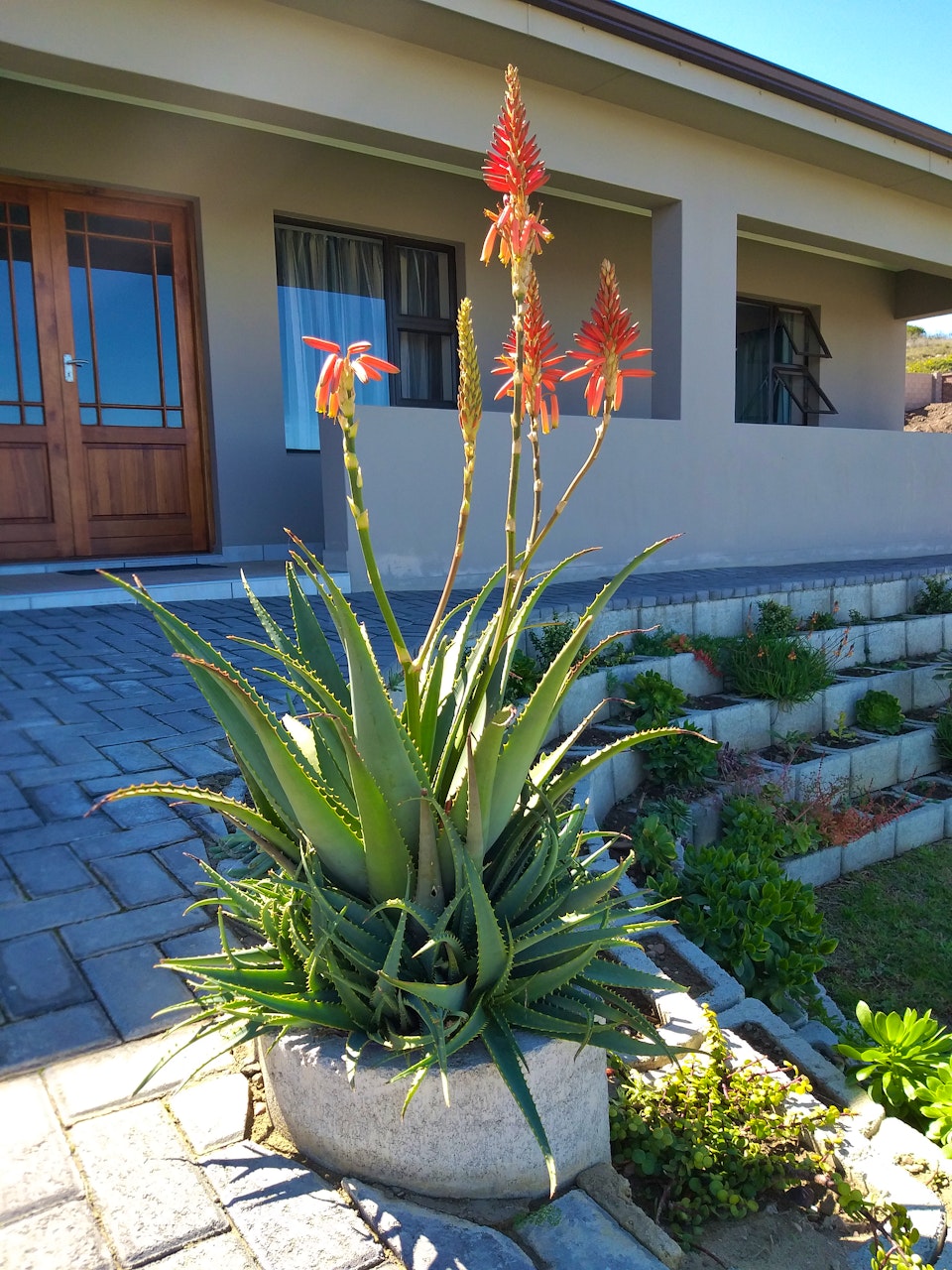 Mossel Bay Accommodation at  | Viya