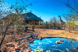 Lowveld Accommodation at Luxury Bush Lodge | Viya