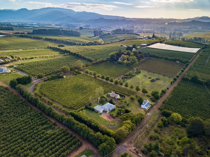 Overberg Accommodation at Belfield Wines and Farm Cottages | Viya