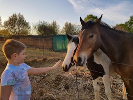 Drakensberg Accommodation at Rustica Accommodation | Viya