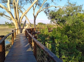 Limpopo Accommodation at SANParks Limpopo Forest Tented Camp | Viya