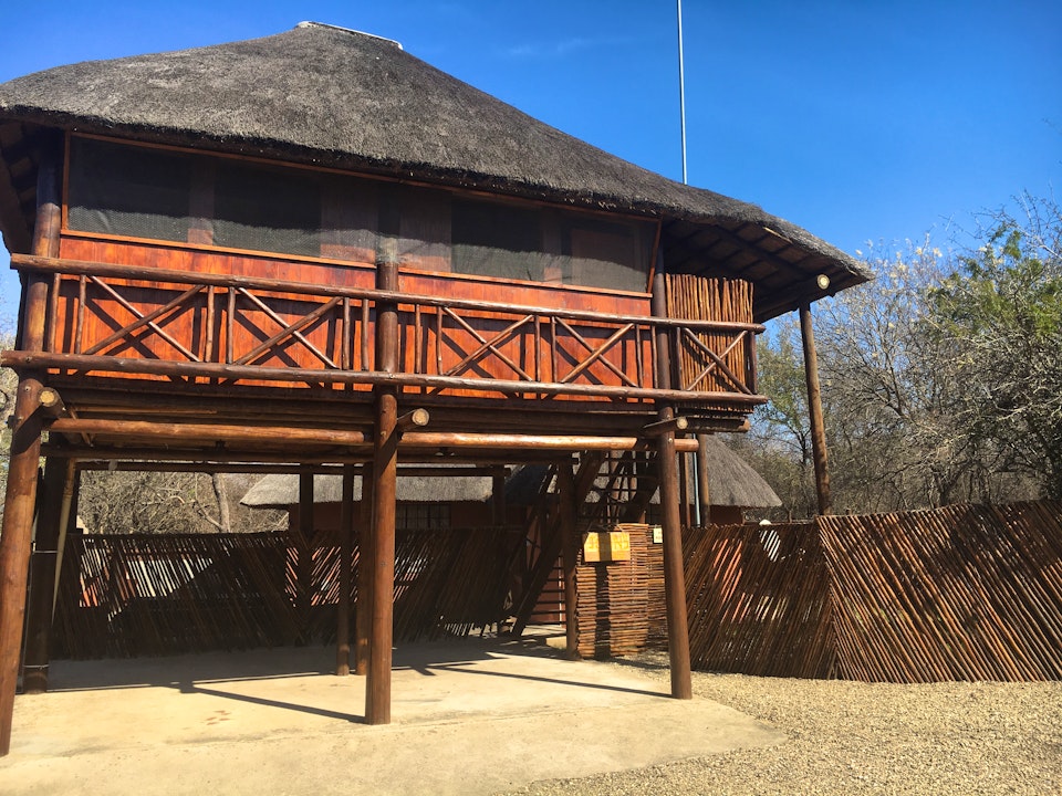 Kruger National Park South Accommodation at  | Viya