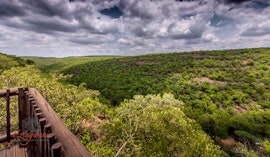 Waterberg Accommodation at  | Viya