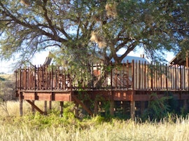 Northern Cape Accommodation at SANParks Kalahari Tented Camp | Viya