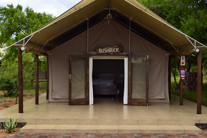Limpopo Accommodation at Shelanti Game Reserve | Viya