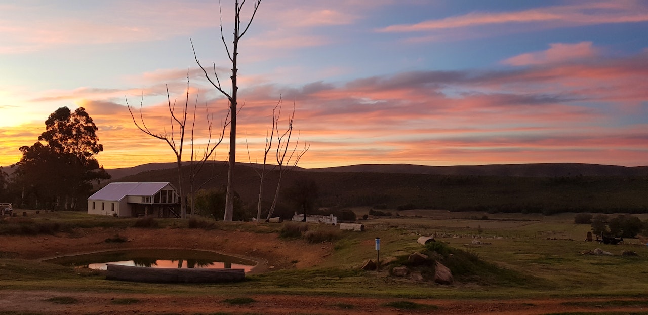 Eastern Cape Accommodation at  | Viya