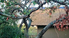 Limpopo Accommodation at Panzi Lodge | Viya