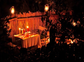 Dinokeng Game Reserve Accommodation at  | Viya