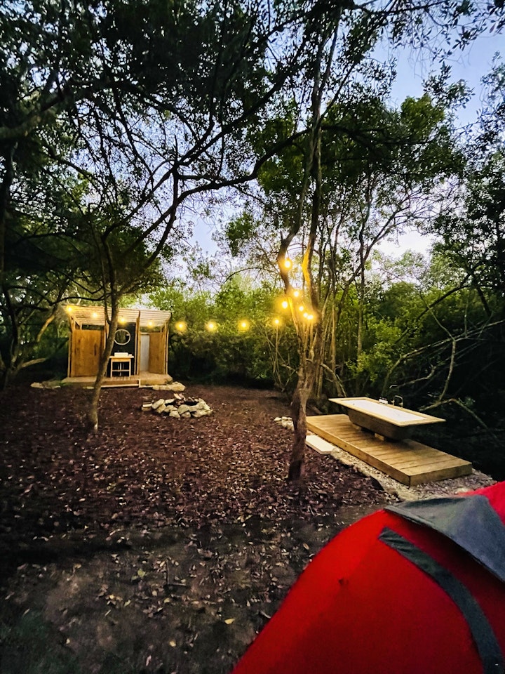 Western Cape Accommodation at TAO Forest Campsites | Viya