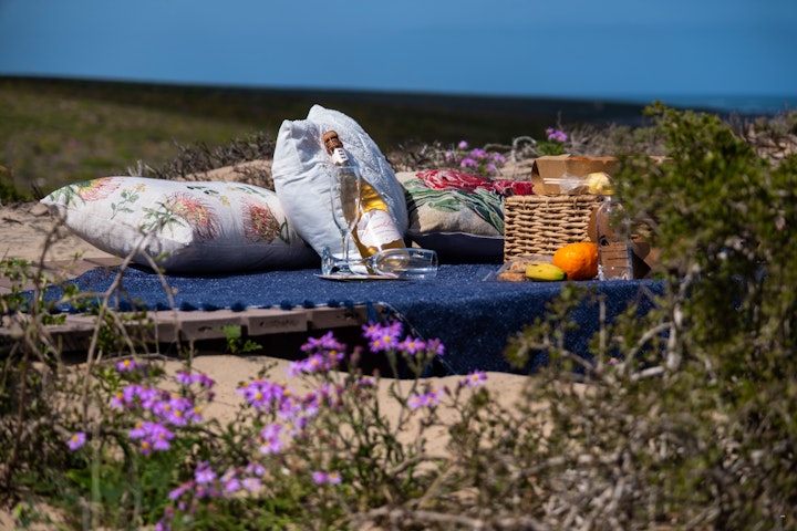 Northern Cape Accommodation at Namaqua Flower Beach Camp | Viya