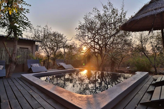 Kruger National Park South Accommodation at  | Viya