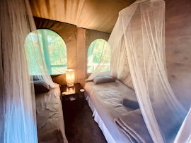 Kruger National Park South Accommodation at  | Viya