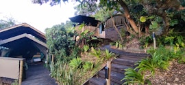 Garden Route Accommodation at The Wild - Bush camp | Viya