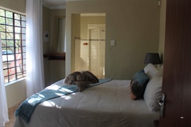 Kruger National Park South Accommodation at  | Viya