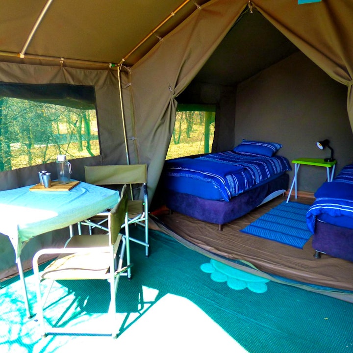 Gauteng Accommodation at Thorn Tree Bush Camp - Tented Camps and Cabins | Viya