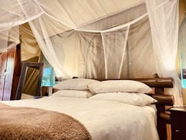 Kruger National Park South Accommodation at  | Viya