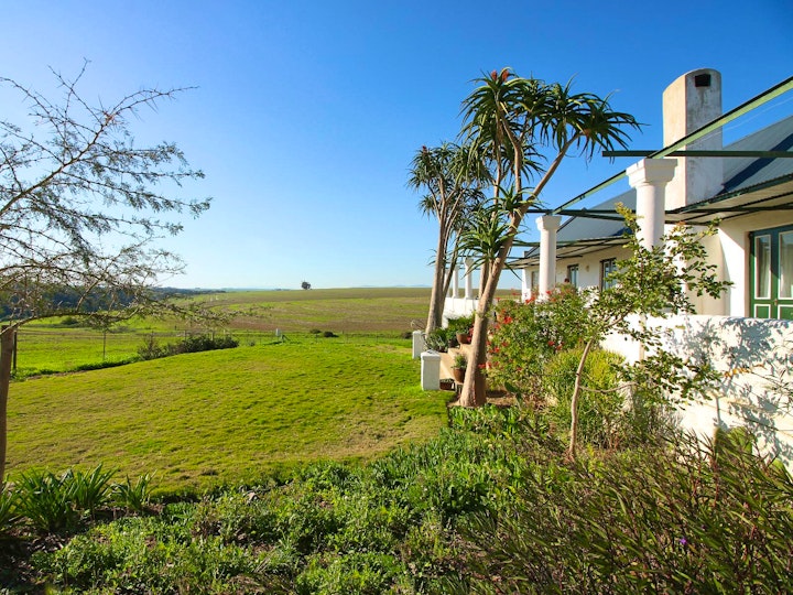 Western Cape Accommodation at Rondekuil Estates | Viya