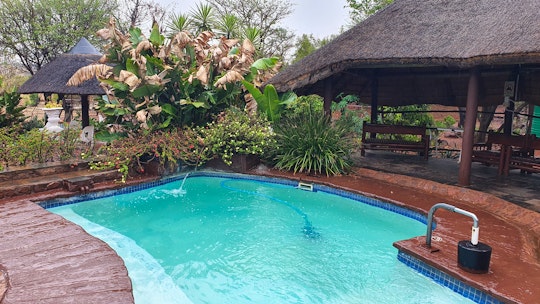 Dinokeng Game Reserve Accommodation at  | Viya