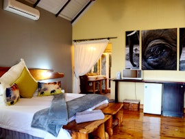 Eastern Cape Accommodation at  | Viya