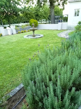 Paarl Accommodation at  | Viya