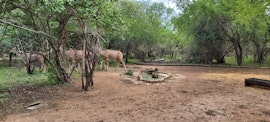 Kruger National Park South Accommodation at Inyathi Inn | Viya