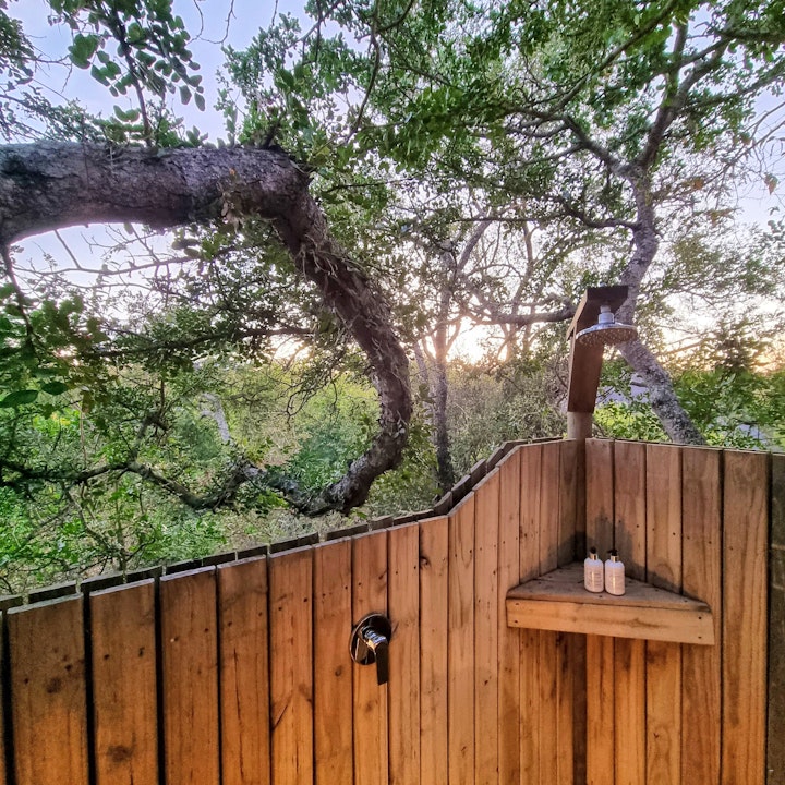 Mpumalanga Accommodation at Kingfisher Creek Safari Lodge | Viya