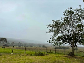 Overberg Accommodation at Magdala Guest Farm | Viya