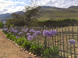 Western Cape Accommodation at Kaapzicht | Viya