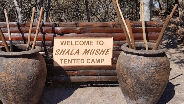  at Shala Mushe Tented Lodge @ Camp | TravelGround