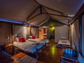 Limpopo Accommodation at  | Viya