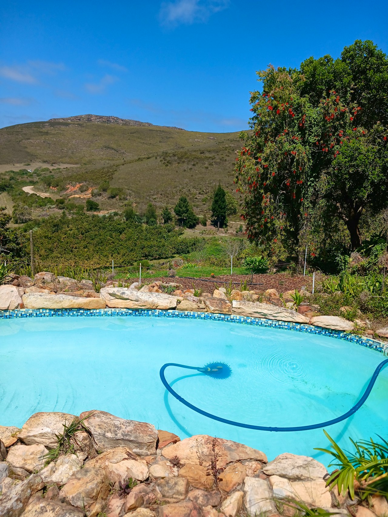 Western Cape Accommodation at  | Viya