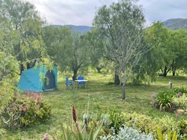 Garden Route Accommodation at  | Viya