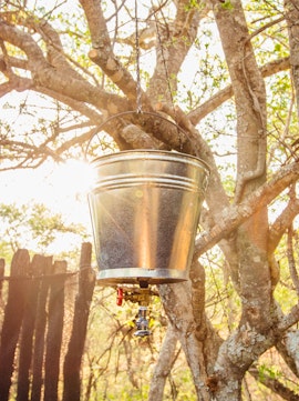 Waterberg Accommodation at The Seed Pod Campsite | Viya