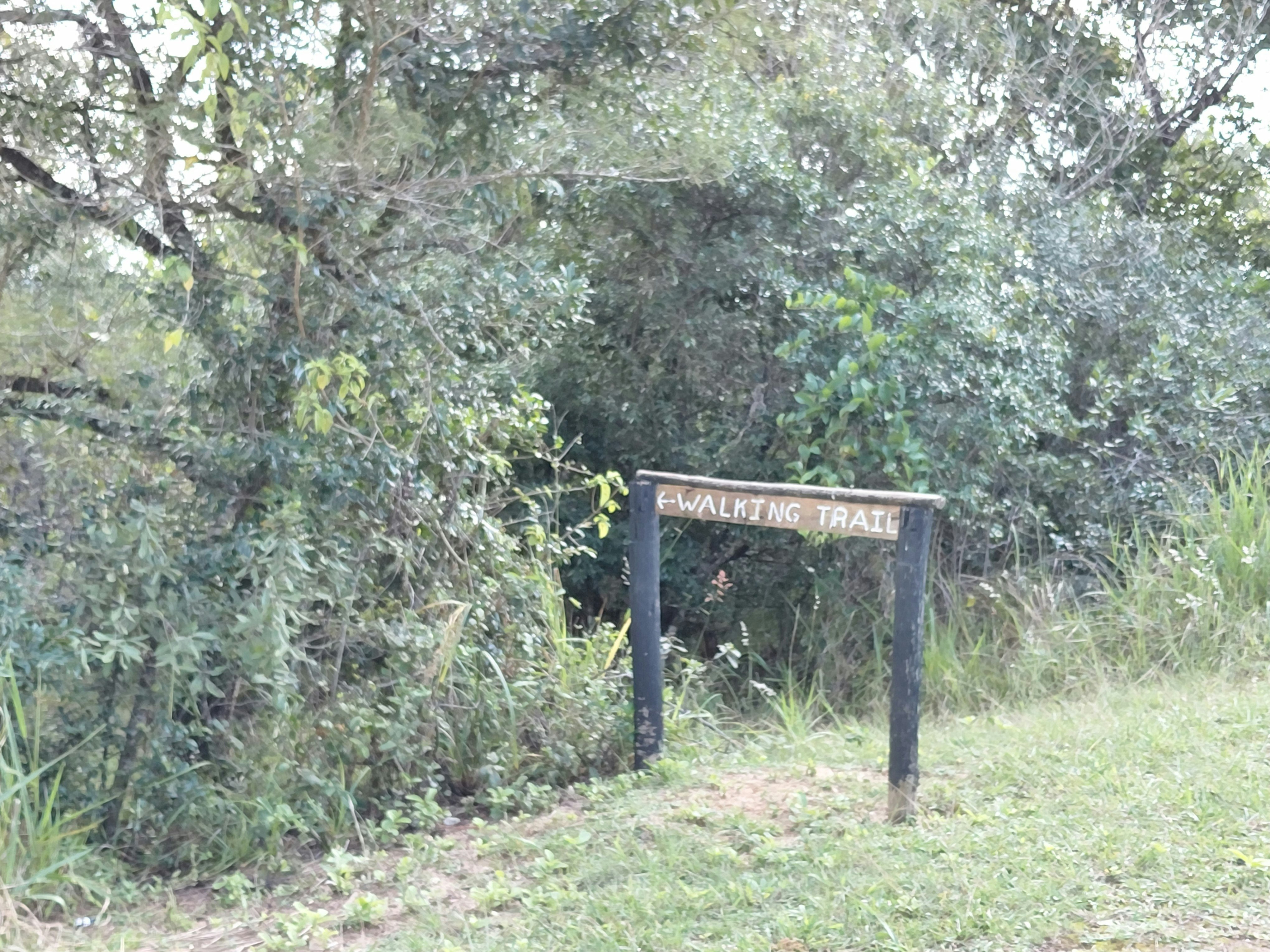 Sickle Bush Da Gama Lake image no 19 of 20