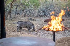 Kruger National Park South Accommodation at  | Viya