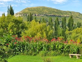 Drakensberg Accommodation at Lake Clarens Guest House | Viya