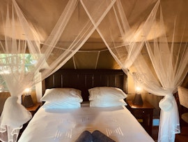 Kruger National Park South Accommodation at  | Viya