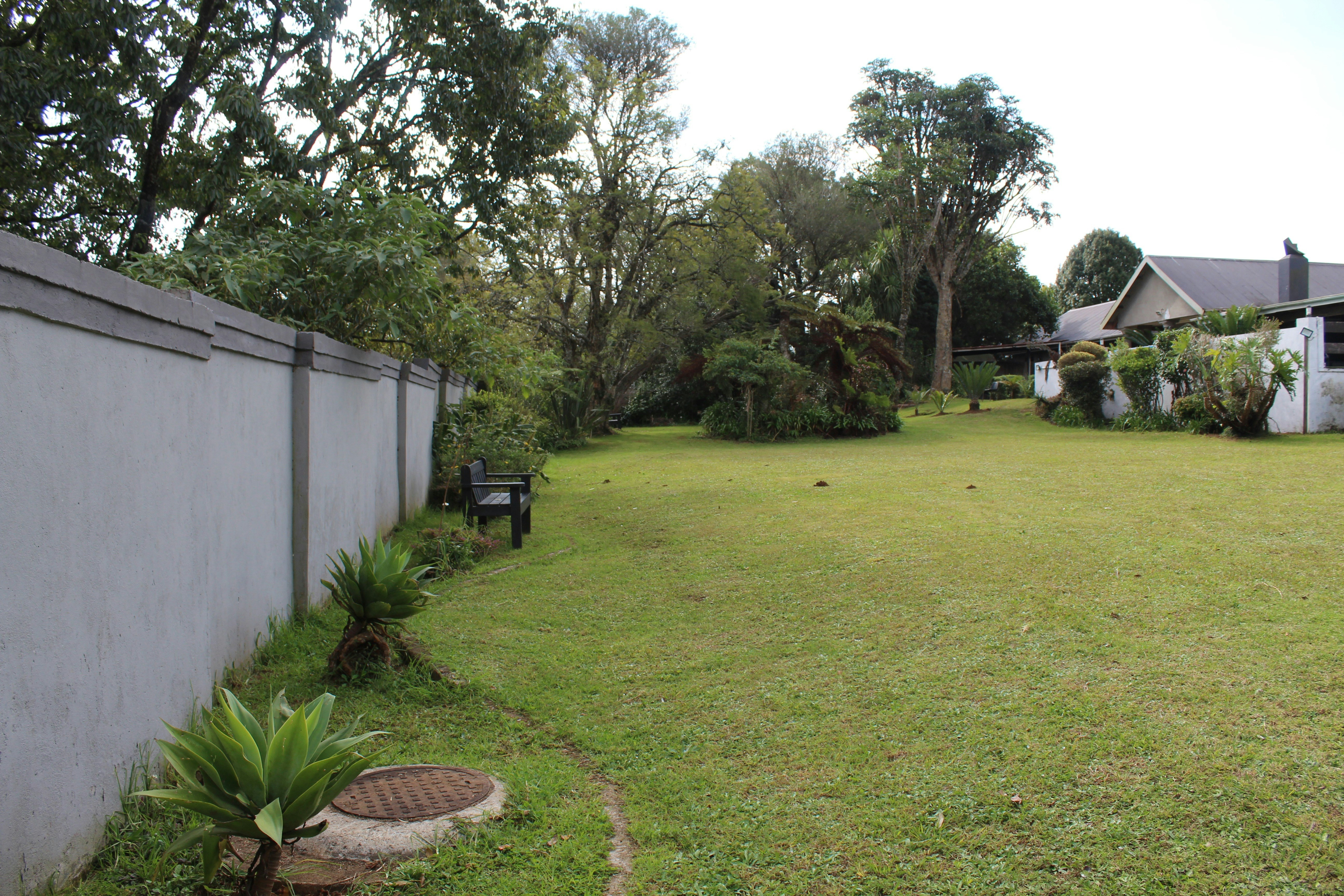 Kanyane @ Graskop image no 7 of 13