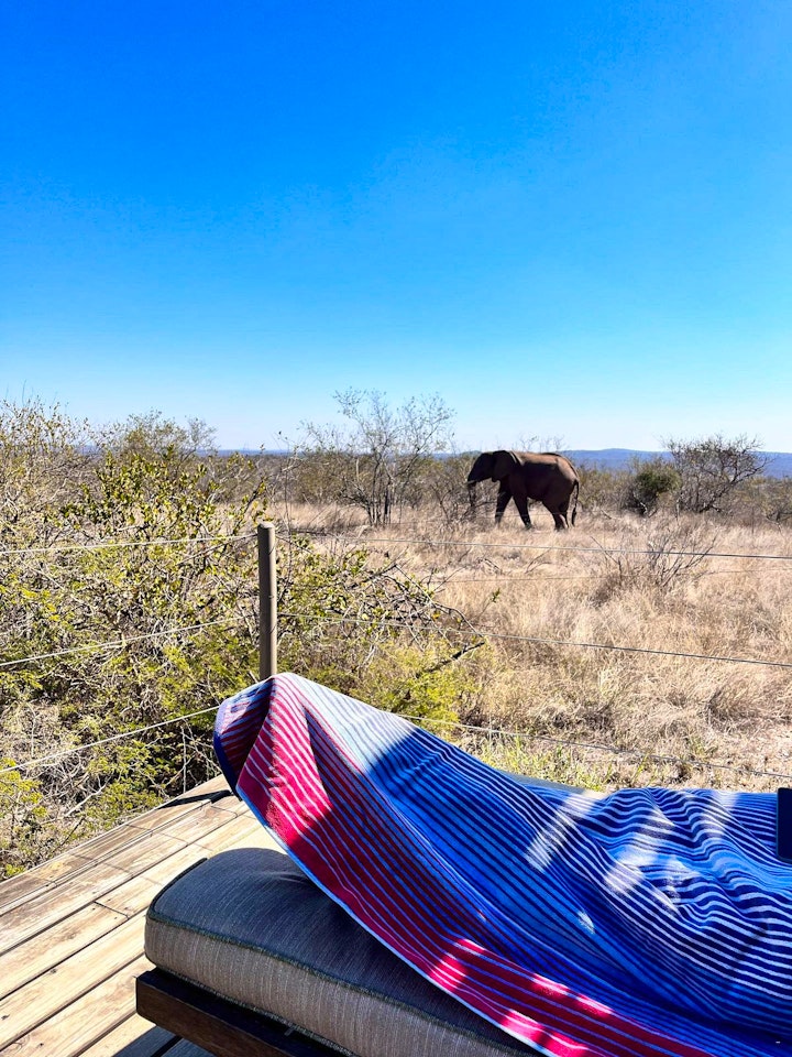 Limpopo Accommodation at Bundox Explorer Camp | Viya