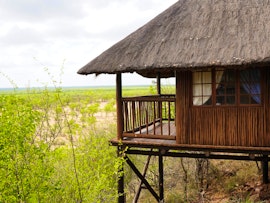 Limpopo Accommodation at  | Viya