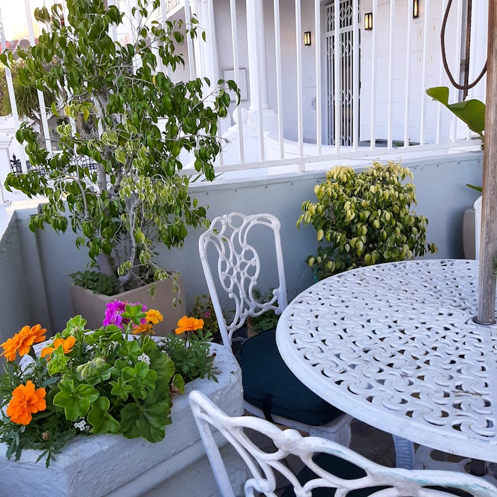 Cape Town Accommodation at The Greenhouse Guest House | Viya