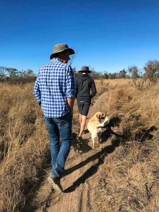 Waterberg Accommodation at  | Viya