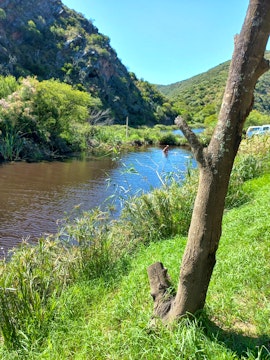 Garden Route Accommodation at Saxon River Camp | Viya