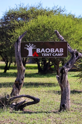 Kruger To Canyons Accommodation at Baobab Tent Camp | Viya