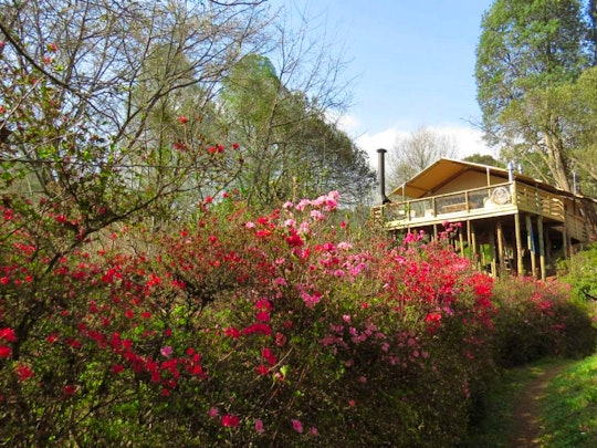 Lowveld Accommodation at  | Viya